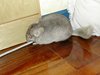 DSCN0798